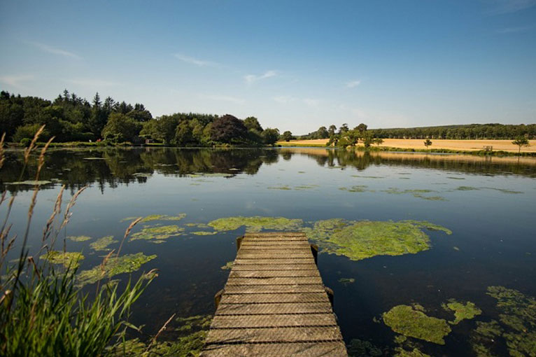 Pitfour Lake