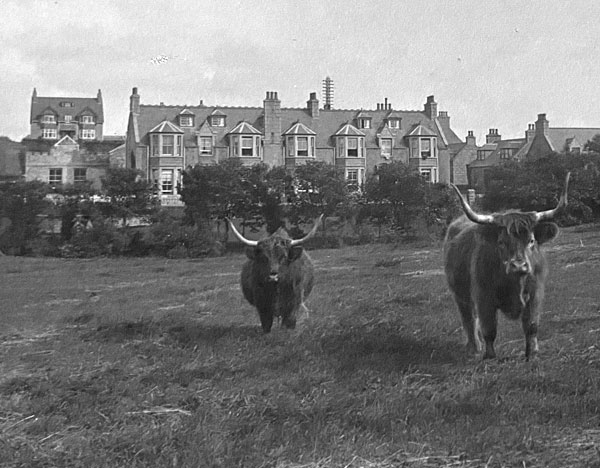 Kilmarnock Arms Hotel